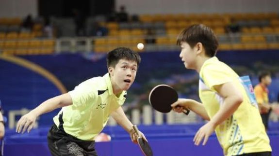 手的特点制 手的特点制